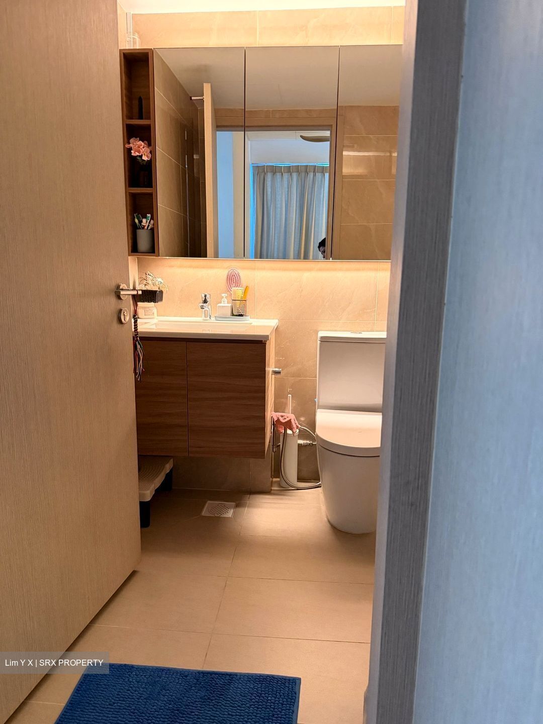 Treasure at Tampines (D18), Condominium #563288071